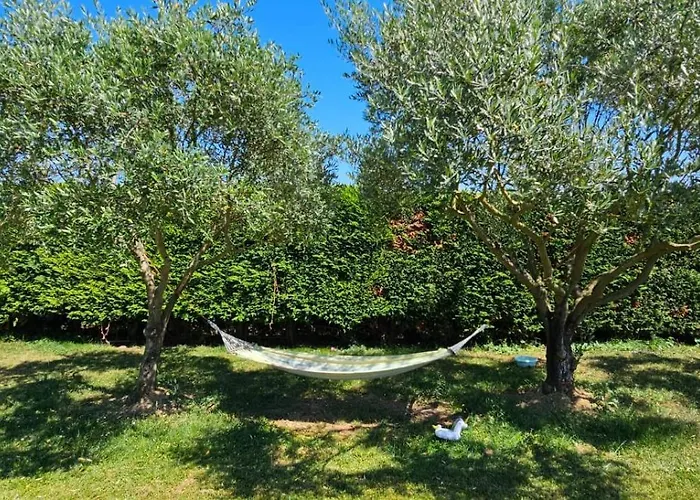 Gasthuis Monplaisir Zen Latrape