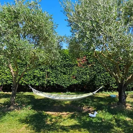 Konukevi Monplaisir Zen Latrape